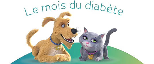 Novembre : le mois du diabète animal