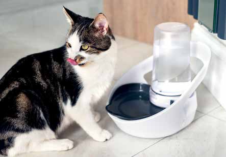 Une façon intelligente de suivre la consommation d’eau des chats