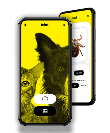 Tickit : une application mobile pour signaler les tiques des chiens et des chats