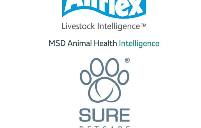 Allflex et Sure Petcare rejoignent officiellement MSD Santé Animale !