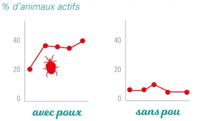 Pourcentage d'animaux actifs la nuit