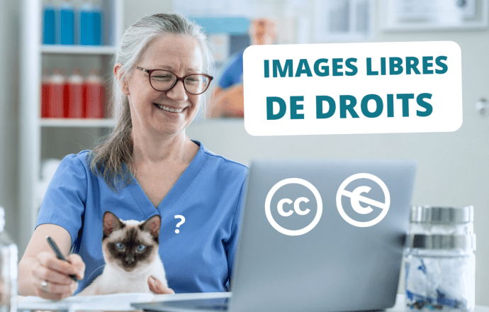 Comment trouver des images libres de droits sur Internet ?